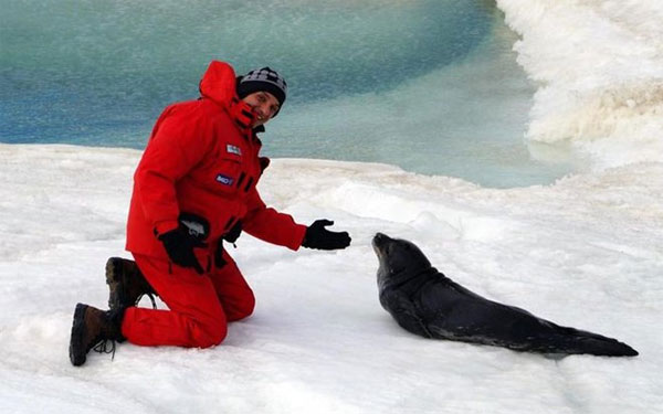 Picture 1 of Discovered a 250 million year fossil forest in Antarctica