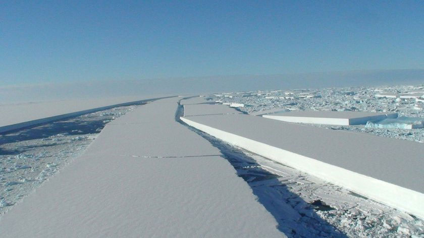 Picture 3 of Discovered a huge crack in the Antarctic glacier
