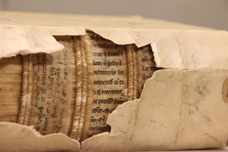 Picture 1 of Discovered a medieval manuscript warehouse used to cover books