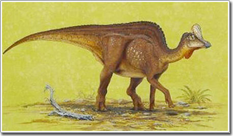 Picture 2 of Discovered a new giant duck-billed dinosaur in Mexico