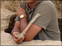 Discovered fossilized bones migrating from Africa to Europe images 2