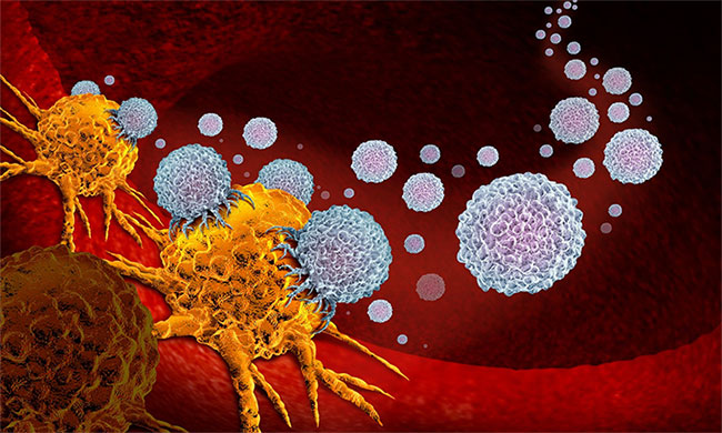 Picture 2 of Discovered immune mechanism 'can treat all types of cancer'