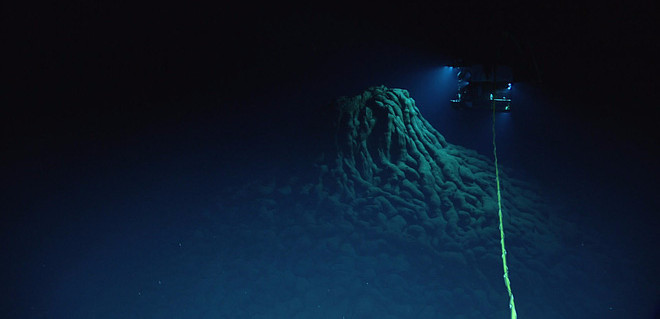 Picture 1 of Discovered in the abdomen the 'living thing' in the deepest part of Earth