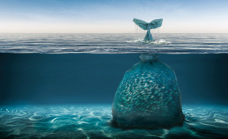 Picture 2 of Discovered in the abdomen the 'living thing' in the deepest part of Earth