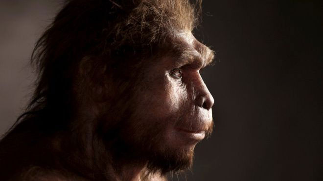 Discovered more human species have existed alongside us for 200,000 years