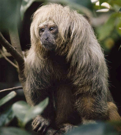 Picture 2 of Discovered new 5 species of