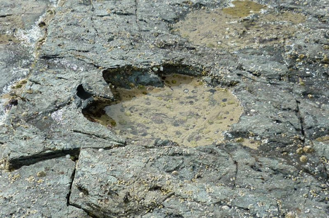 Picture 1 of Discovered rare dinosaur footprints 170 million years ago