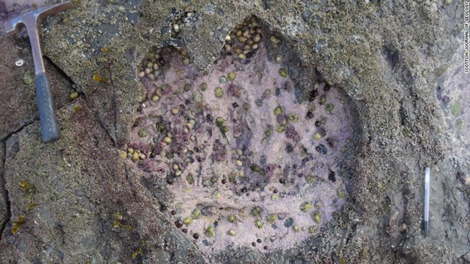 Picture 2 of Discovered rare dinosaur footprints 170 million years ago