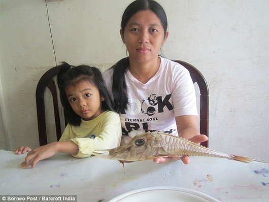 Picture 1 of Discovered strange fish in Indonesia