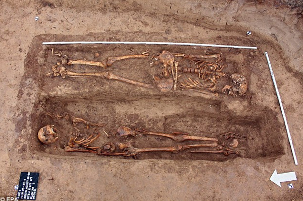 Picture 1 of Discovered the burial pit of 200 Napoleon soldiers in Germany