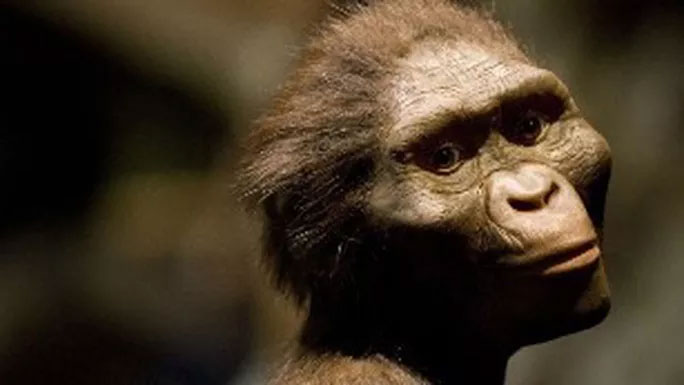 Picture 2 of Discovered the new face of a human ancestor 3.9 million years old