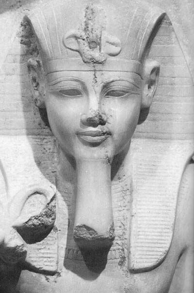 Picture 1 of Discovered the phenomenon of King Tut's grandfather