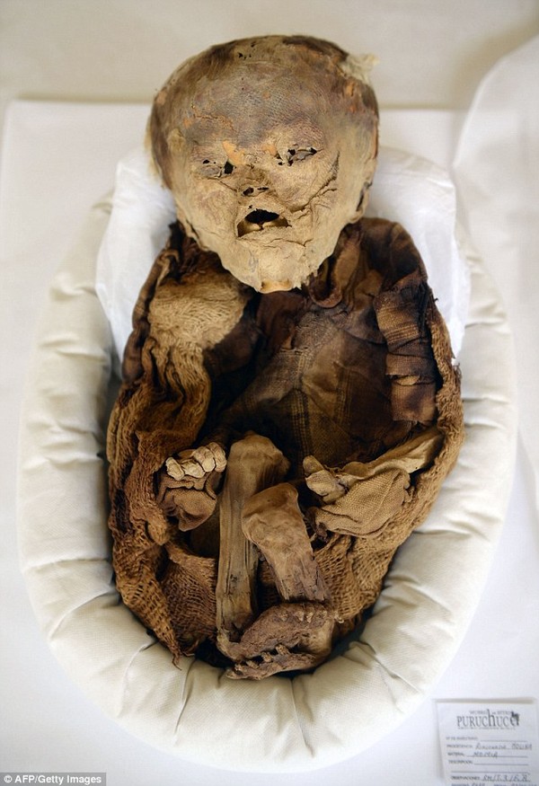 Picture 1 of Discovered the pre-Inca baby mummy in Peru