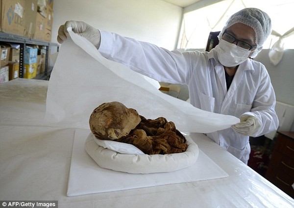 Picture 3 of Discovered the pre-Inca baby mummy in Peru