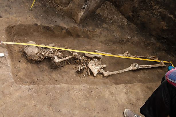 Picture 1 of Discovered the skeleton