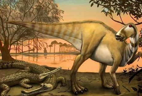 Picture 1 of Discovered the world of dinosaurs missing in Texas city