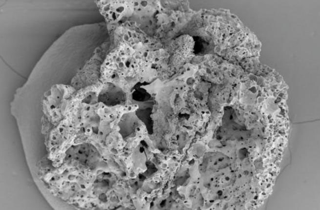 Picture 1 of Discovered the world's oldest bread baked in Jordan from 14,500 years ago