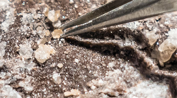 Picture 1 of Discovered traces of life in the crater 375 million years