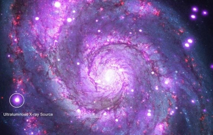 Picture 1 of Discovering a bright star is a million times more massive than the Sun.