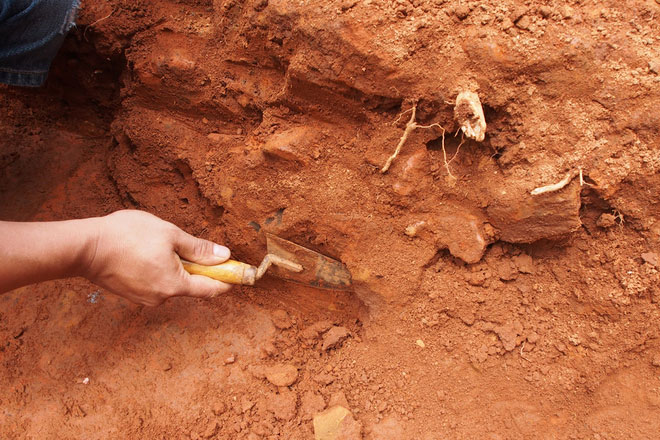 Picture 4 of Discovering Cham thousand-year-old relic in Da Nang