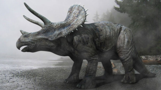 Picture 2 of Discovering dinosaur horns 33,500 years old: Did humans live at the same time as dinosaurs?