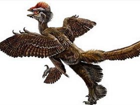 Picture 1 of Discovering fossil birds in the Gobi Desert