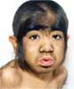 Picture 2 of Discovering heavenly medicine: People can turn into plants or animals
