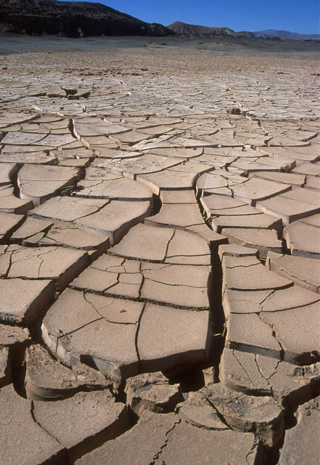 Picture 3 of Discovering life in the world's most Martian-like place