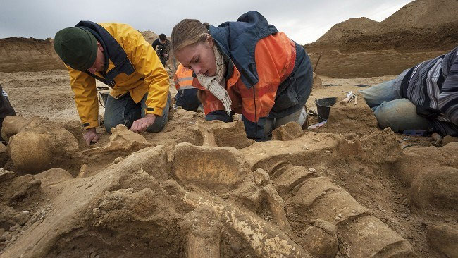 Picture 1 of Discovering mammoth bones near Paris