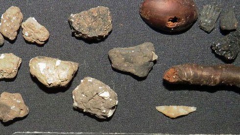 Picture 4 of Discovering nearly 6,000-year-old leaves almost intact in the UK