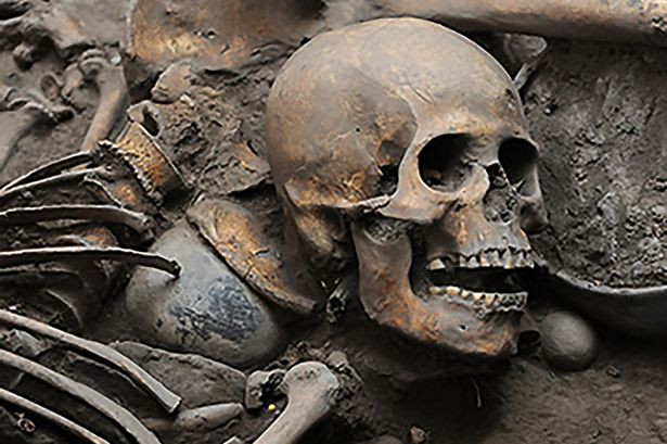 Picture 3 of Discovering possible culprits of 4,000-year-old archaeological work in Mexico
