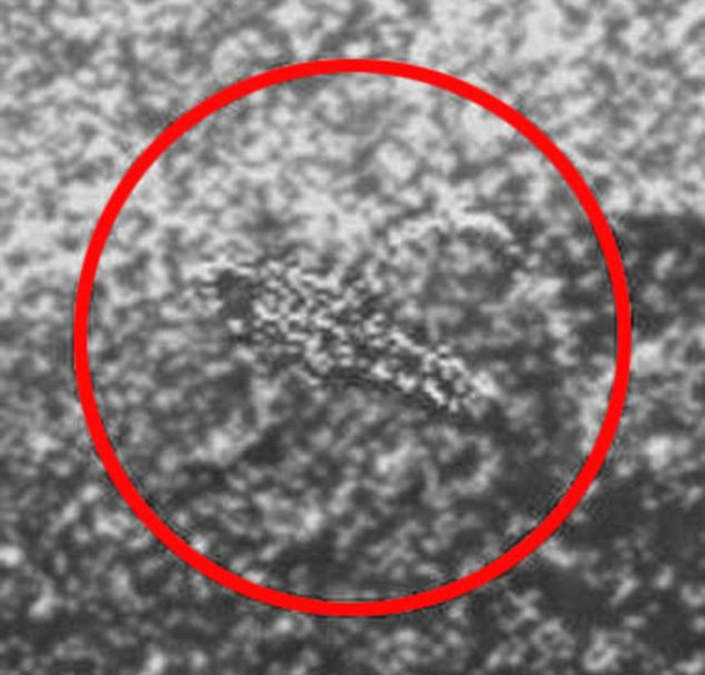 Picture 2 of Discovering scorpions living on Venus?