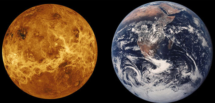 Picture 3 of Discovering scorpions living on Venus?