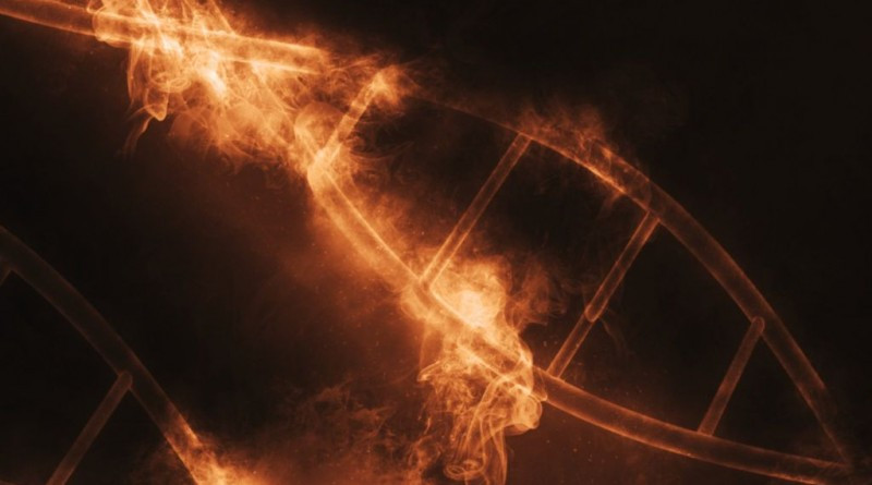 Picture 1 of Discovering 'Superman DNA' protects people from disease