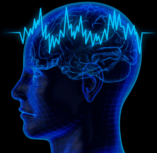 Picture 1 of Discovering the 'devil zone' in the human brain