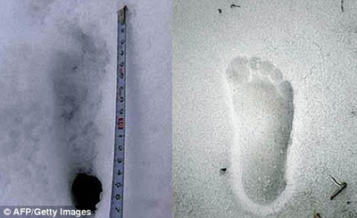 Picture 1 of Discovering the footprints of the Snowman in Nepal