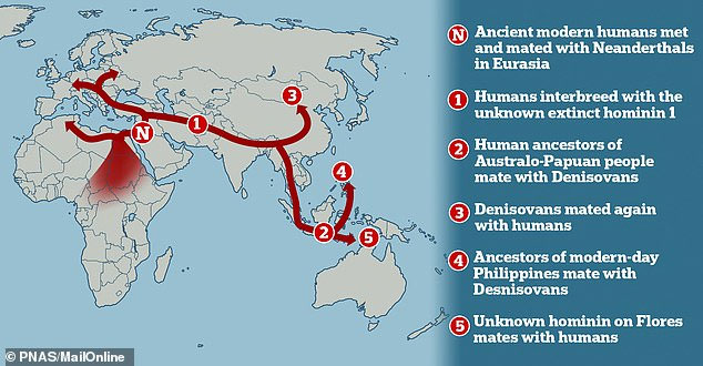 Picture 2 of Discovering the 'love path' where 5 species of humans mate in deformities