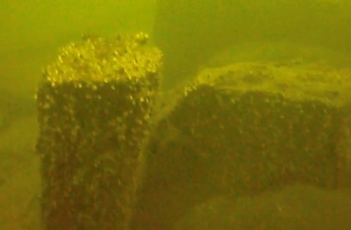 Picture 1 of Discovering treasures of more than 150 million USD on shipwrecks