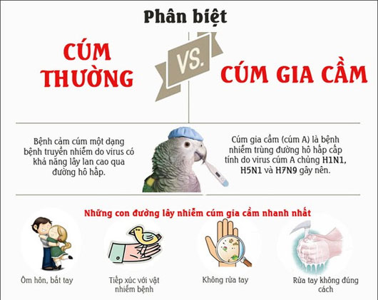 Picture 1 of Distinguish between regular flu and bird flu