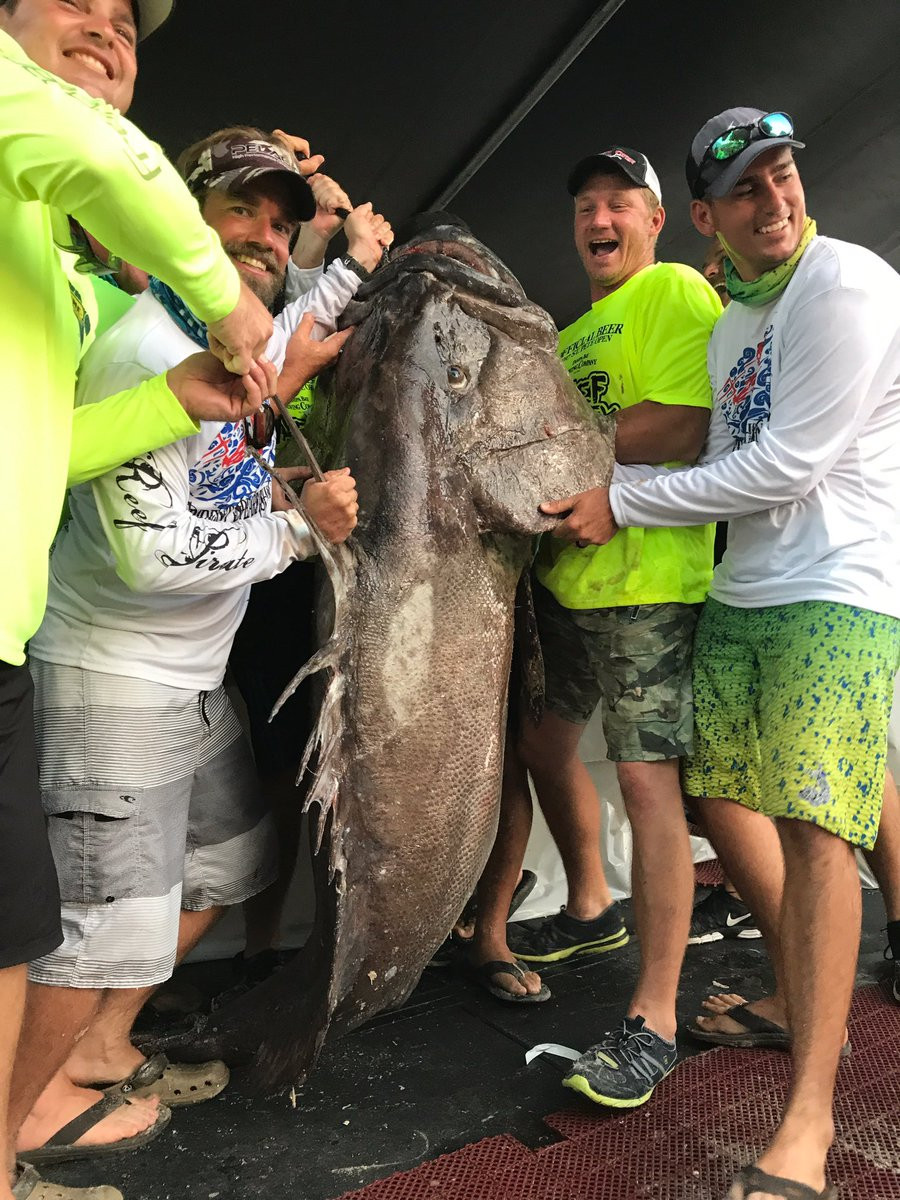 Picture 3 of Diving, catching giant grouper twice as big