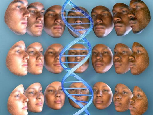 Picture 1 of DNA can outline the suspect's face