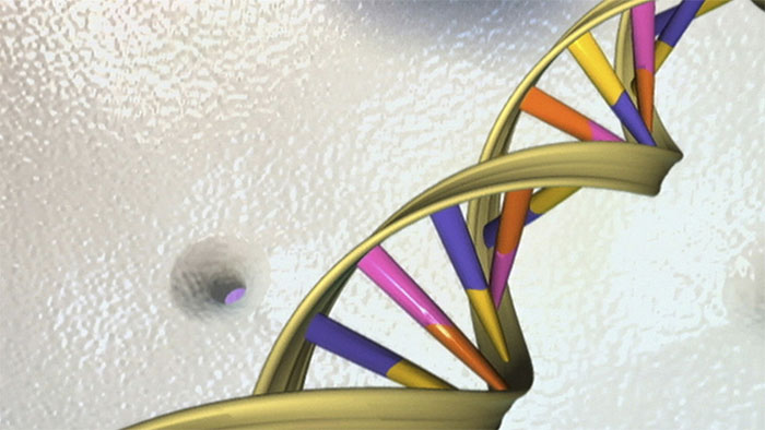 Picture 1 of DNA carries an ancient viral signature capable of destroying cancer