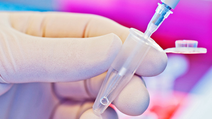 Picture 2 of DNA testing and information to know