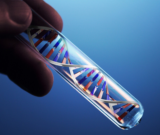 Picture 3 of DNA testing and information to know
