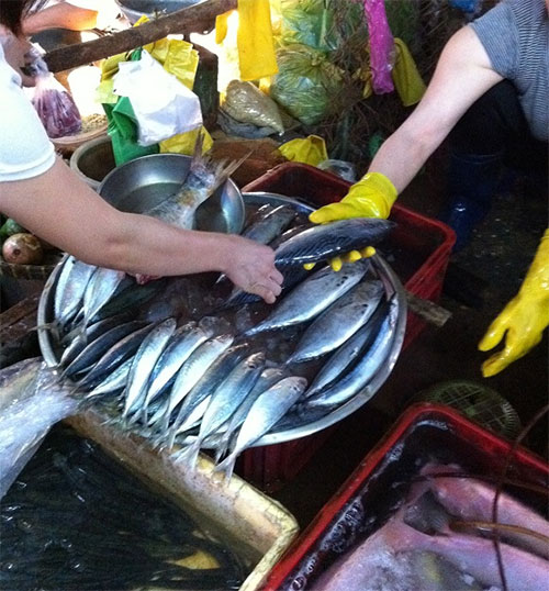 Picture 2 of Do not store enough cold, retail marine fish in the market may be contaminated with poisoning