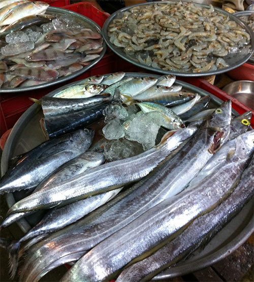 Picture 3 of Do not store enough cold, retail marine fish in the market may be contaminated with poisoning