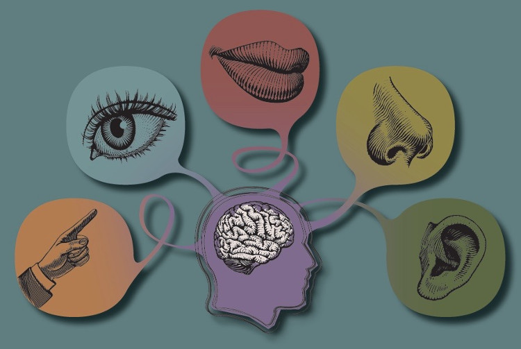 Picture 1 of Do people really have only 5 senses?