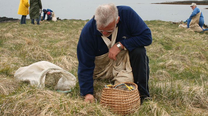 Picture 4 of Do you believe a blanket made of duck hair that costs up to 350 million VND?