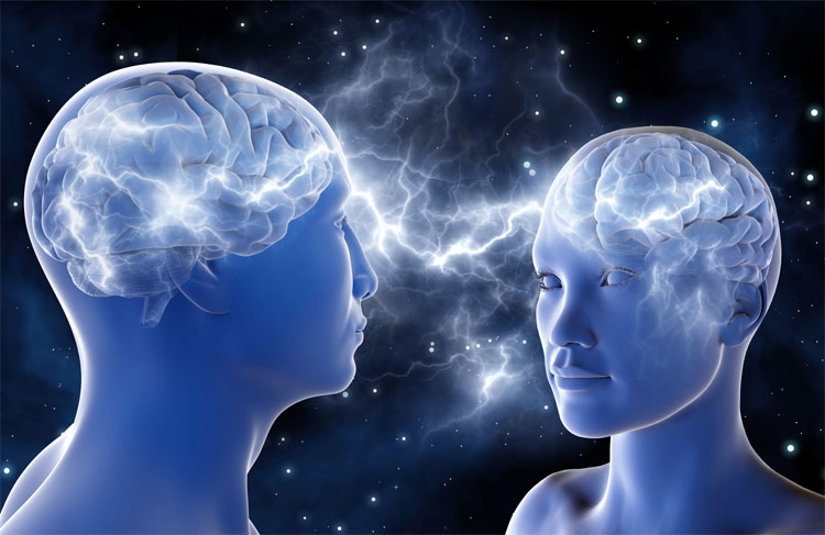Picture 2 of Do you believe men's brains are really bigger than women?