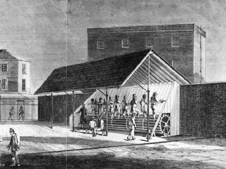 Picture 5 of Do you believe, the treadmill is the infamous 'prisoner torture' machine of the 19th century